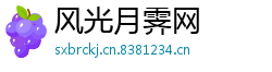 风光月霁网